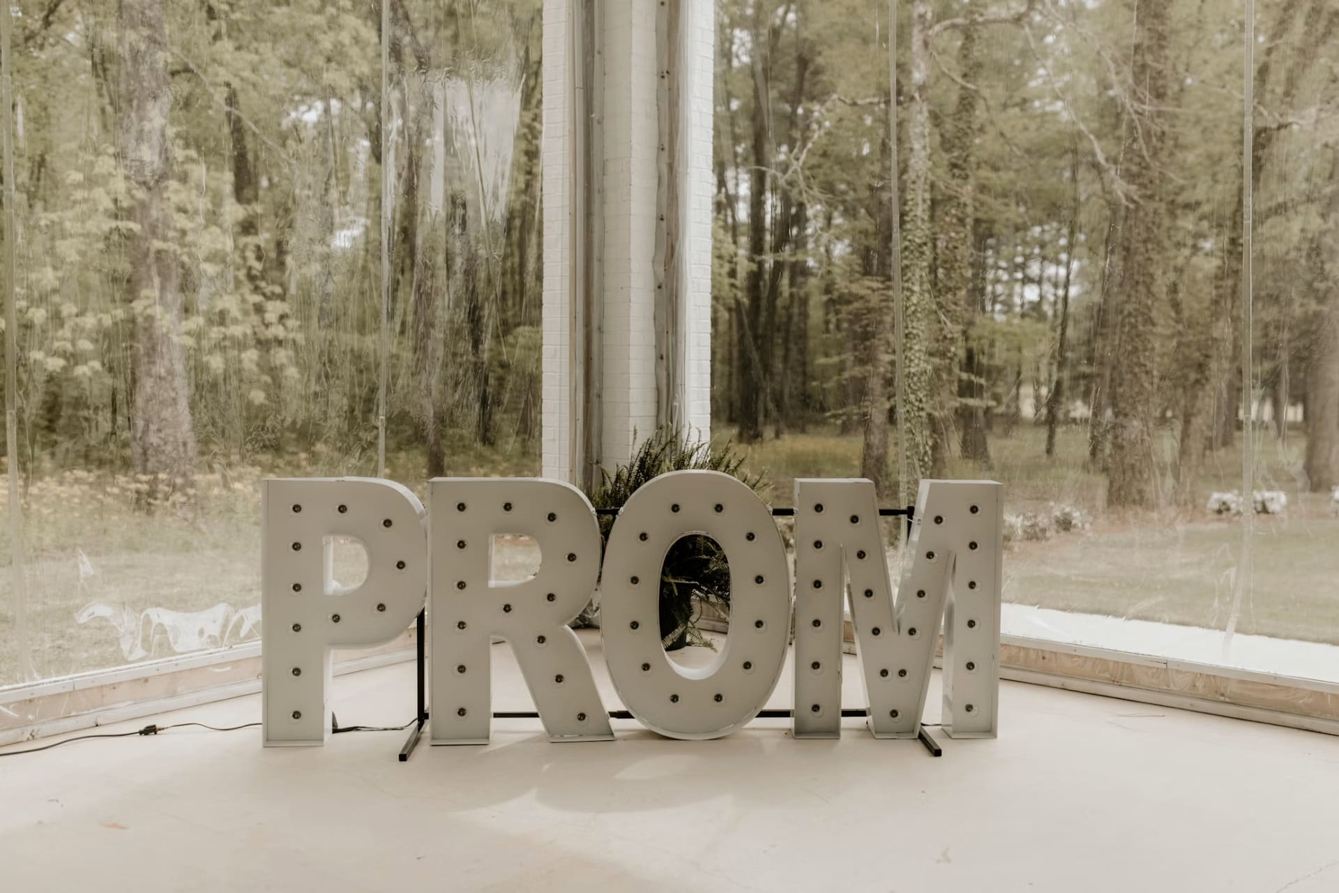 School and prom celebration